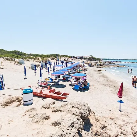 Holiday M361 Gallipoli